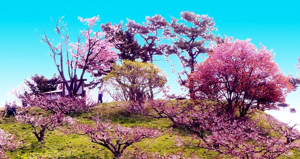 昭和新山ユースホステル 壮瞥町 エクステリア 写真